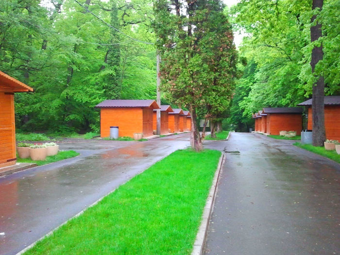 Zoo Sibiu (1) - Zoo Sibiu
