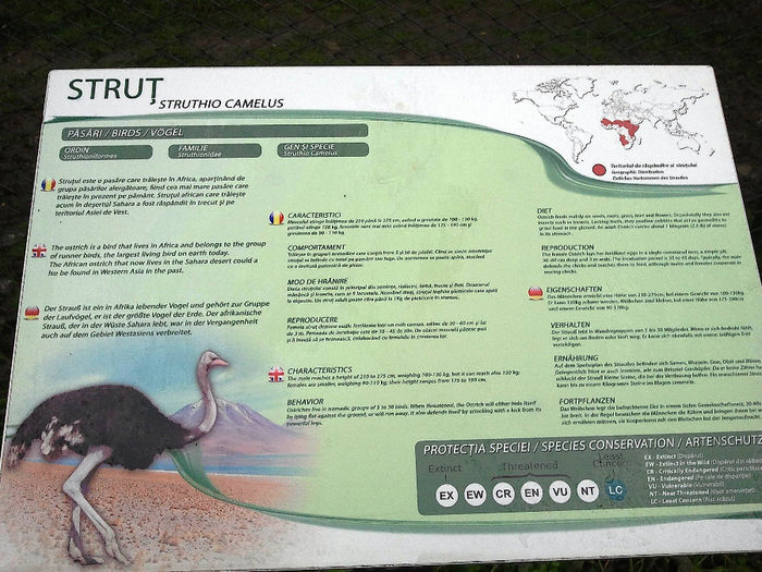 Zoo Sibiu (9)