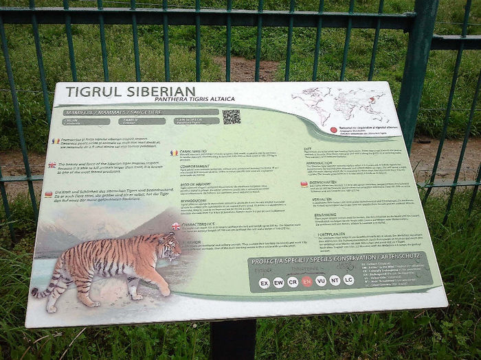 Zoo Sibiu (13) - Zoo Sibiu