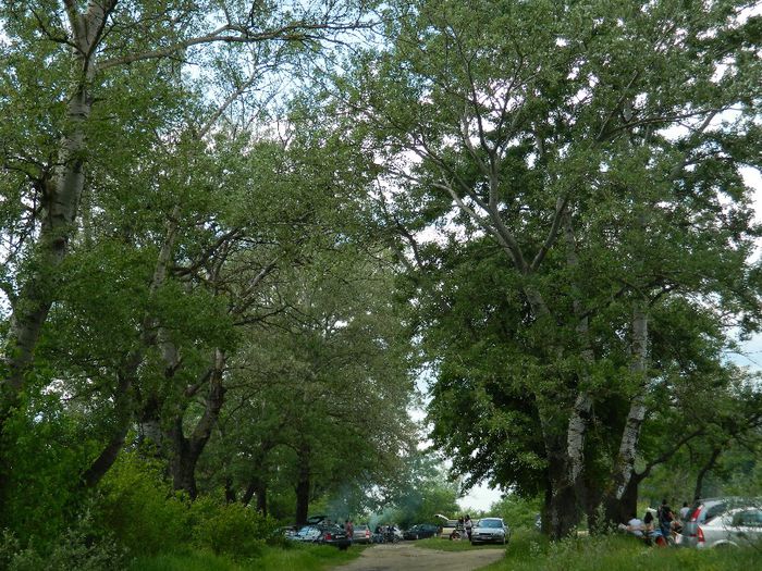 DSCN8096