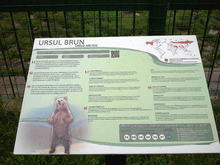 Zoo Sibiu (20) - Zoo Sibiu