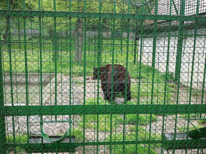 Zoo Sibiu (22) - Zoo Sibiu