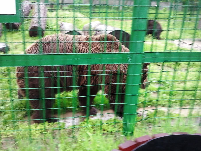 Zoo Sibiu (23) - Zoo Sibiu