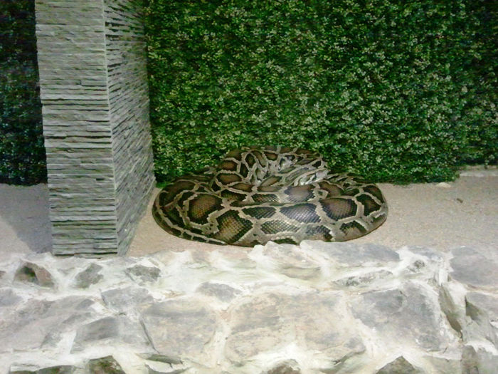 Zoo Sibiu (58)