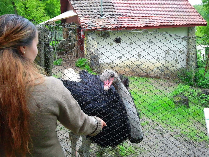 Zoo Sibiu (75)