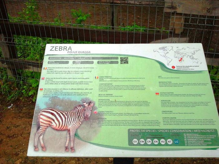 Zoo Sibiu (77)
