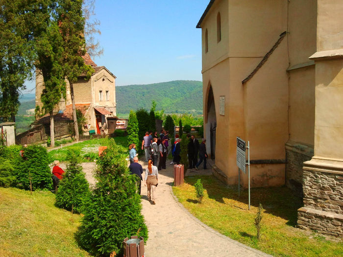Sighisoara (23)
