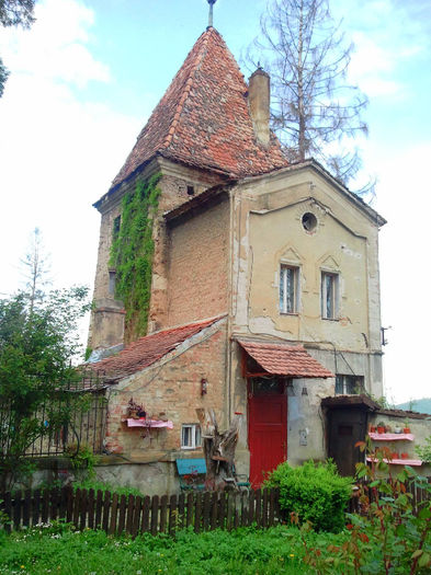 Sighisoara (43)