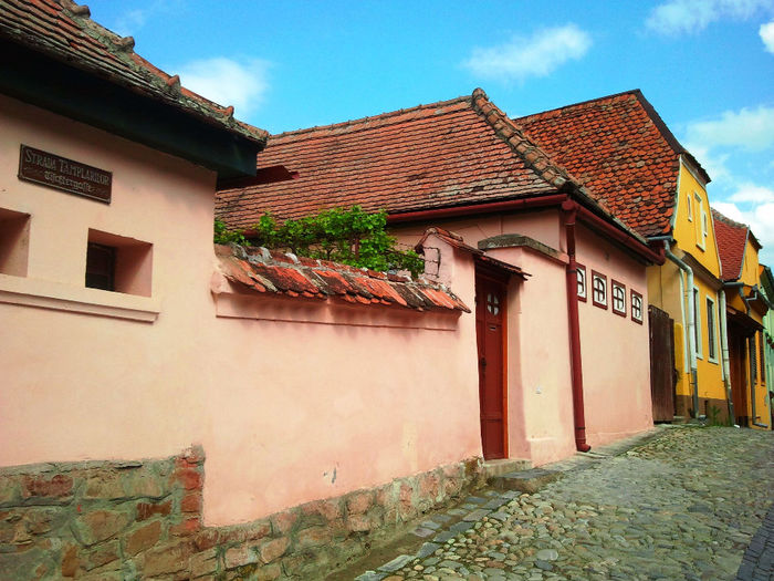 Sighisoara (64)
