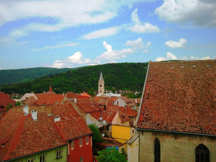 Sighisoara (91)