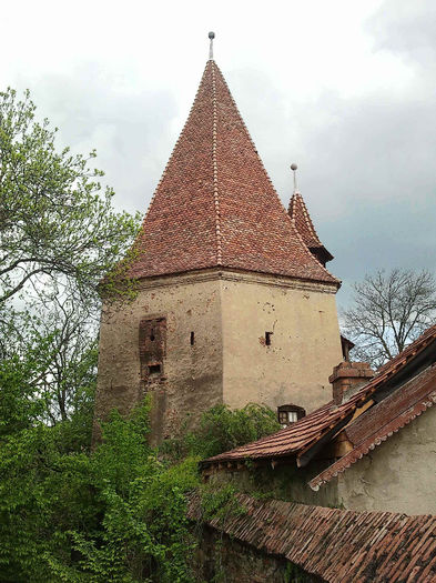 Sighisoara (128)