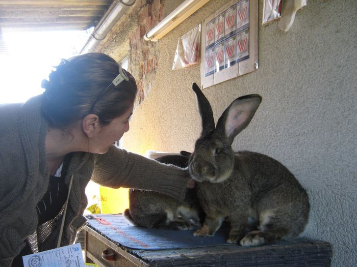 doamna monika cu campionul - animale ce am exportat in romania