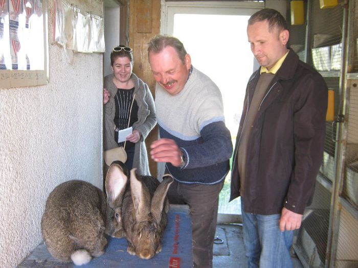 franz ea ramas bun de la campioni - animale ce am exportat in romania