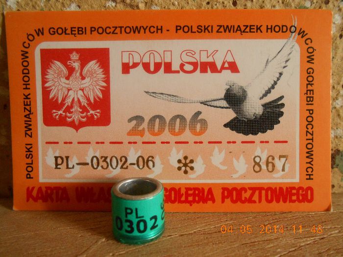 PL 2OO6 - POLONIA PL