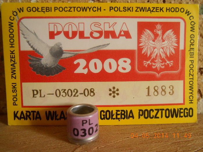 PL 2OO8 - POLONIA PL