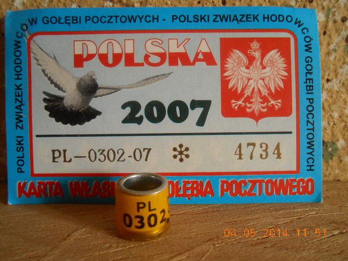 PL 2OO7 - POLONIA PL