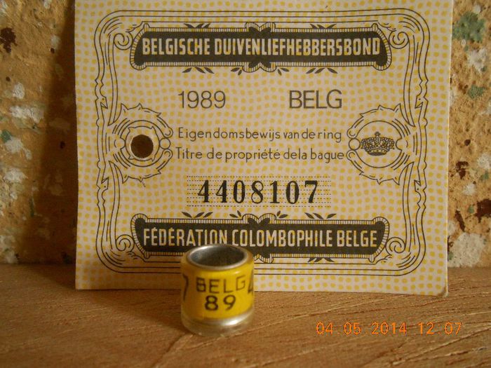 BELG  89 - BELGIA
