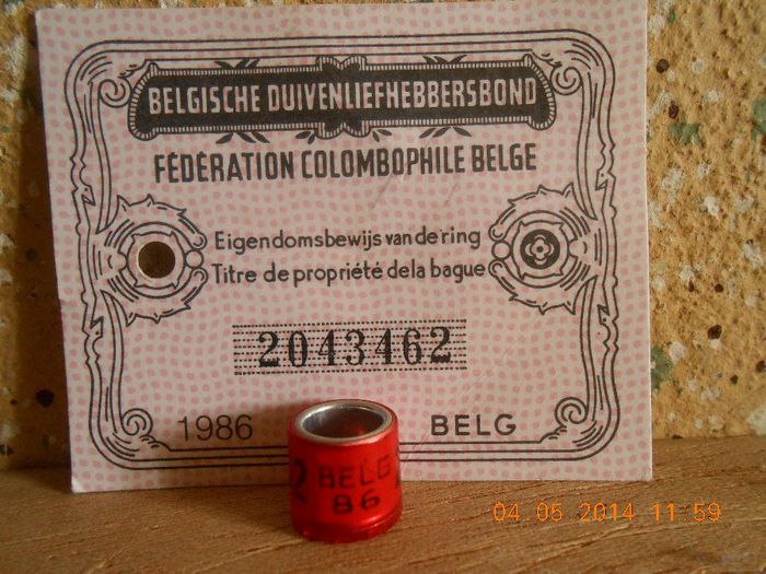 BELG  86 - BELGIA