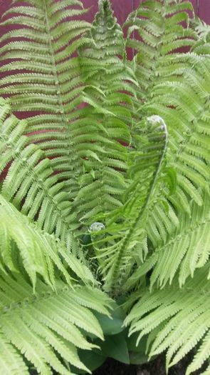 20140505_130100 - Copie