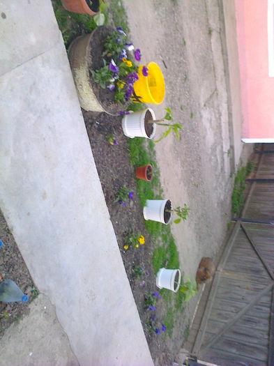 Fotografie0537 - aprilie 2014