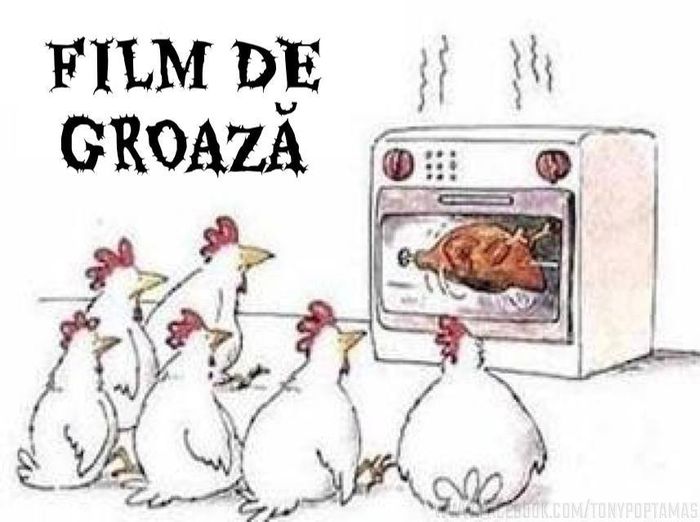 1924935_10152209888557834_640681138_n