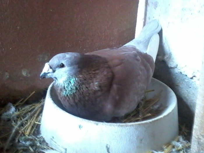 10321002_1401772486770755_3244508161475256885_o