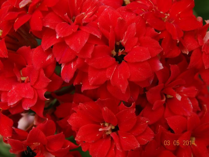 DSC03077