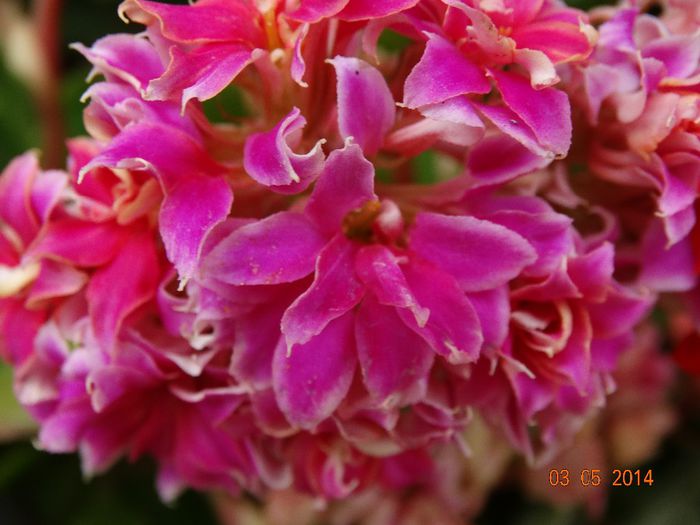 DSC03078