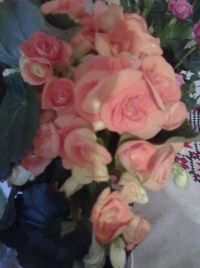  - Flori primite de ziua mea