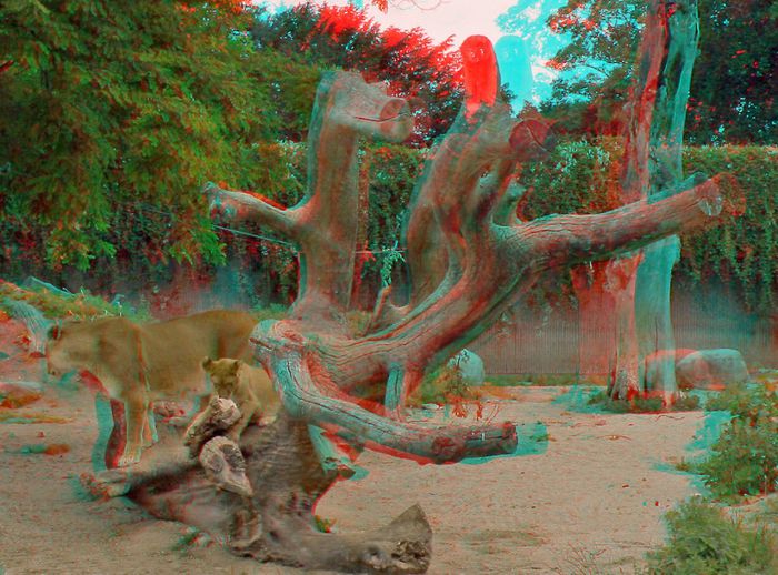913 - SPECIAL 3d anaglyph