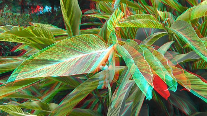 201 - SPECIAL 3d anaglyph
