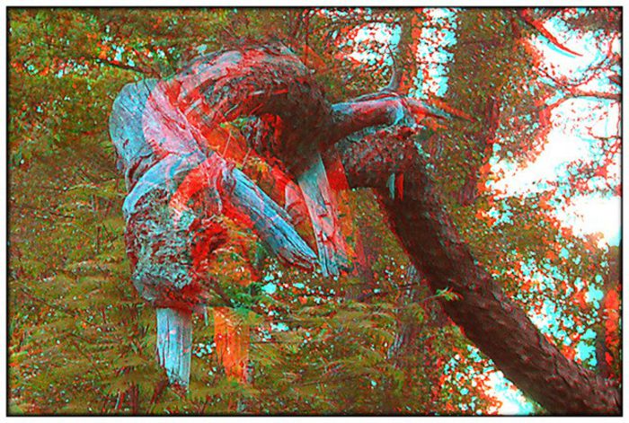 620 - SPECIAL 3d anaglyph