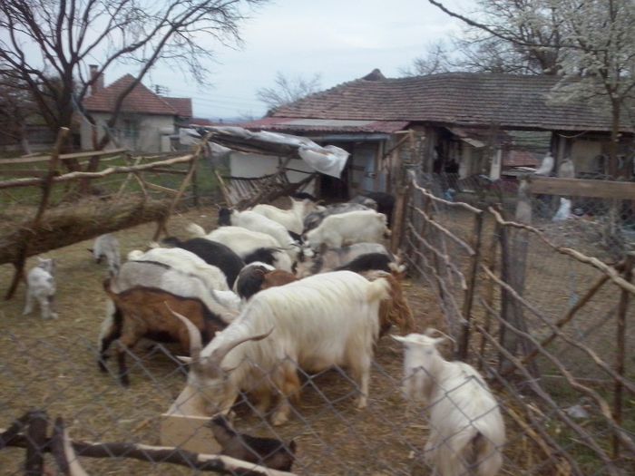 CAM01642