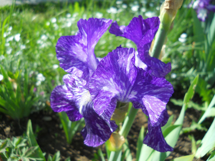DSCN1684_018