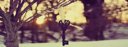 13 - xo_poze coperta_xo