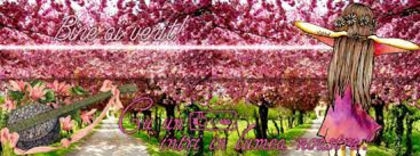 26 - xo_poze coperta_xo