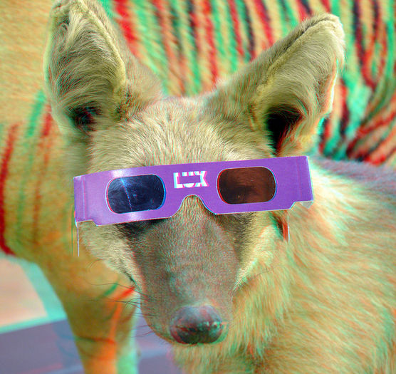 109 - SPECIAL 3d anaglyph