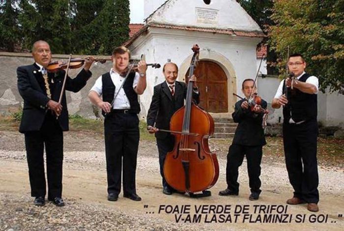 10172867_231149787085831_5129824427160335102_n - DE GUSTIBUS  ET COLORIBUS NON DISPUTANDUM