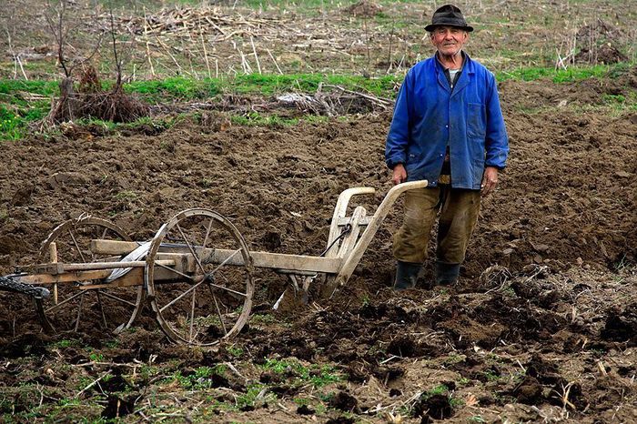 481750_393908547353703_1084367936_n