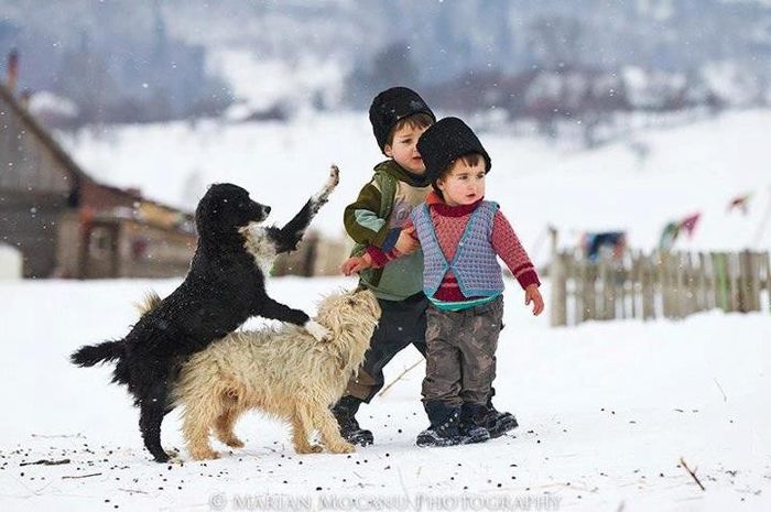 550041_416550328422858_1614069980_n - DE GUSTIBUS  ET COLORIBUS NON DISPUTANDUM