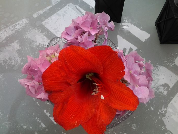 rupte de ploaie -furtuna