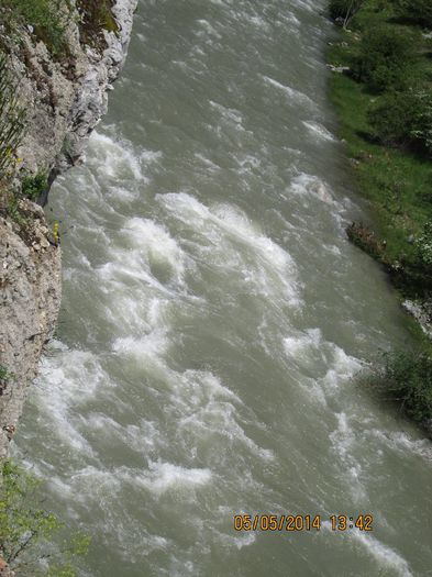 IMG_4560 - Cheile Sohodolului in mai