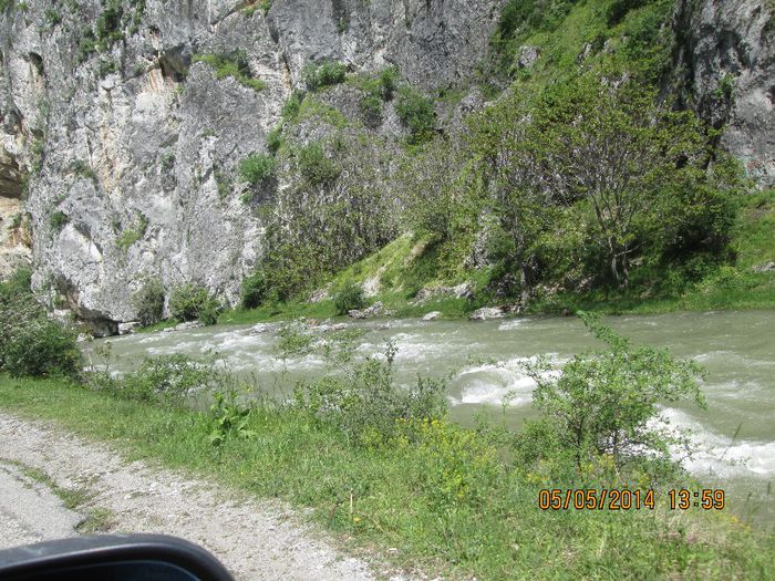 IMG_4606 - Cheile Sohodolului in mai
