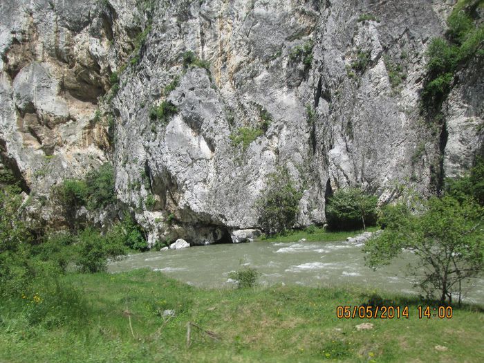 IMG_4608 - Cheile Sohodolului in mai
