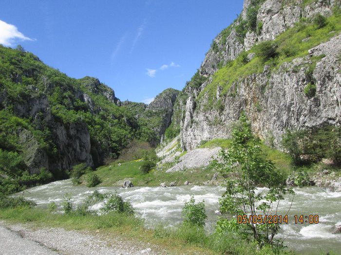 IMG_4616 - Cheile Sohodolului in mai