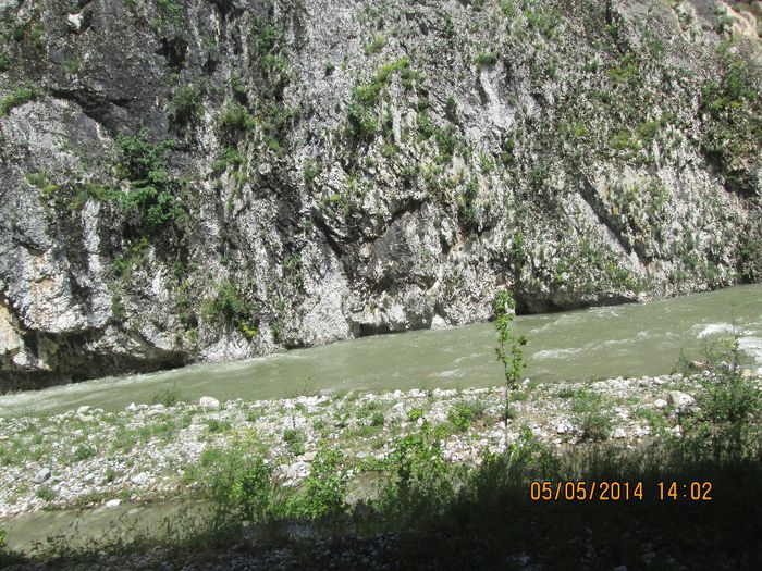 IMG_4629 - Cheile Sohodolului in mai