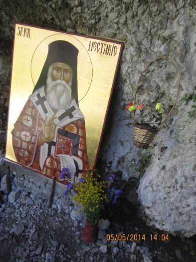 IMG_4638 - Cheile Sohodolului in mai