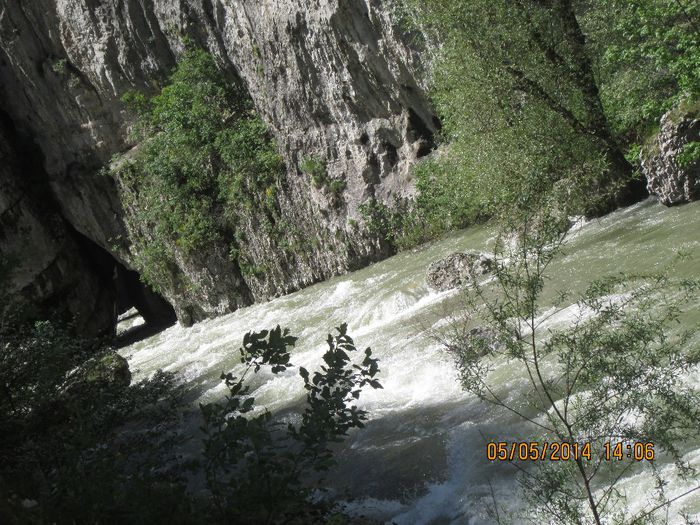 IMG_4644 - Cheile Sohodolului in mai