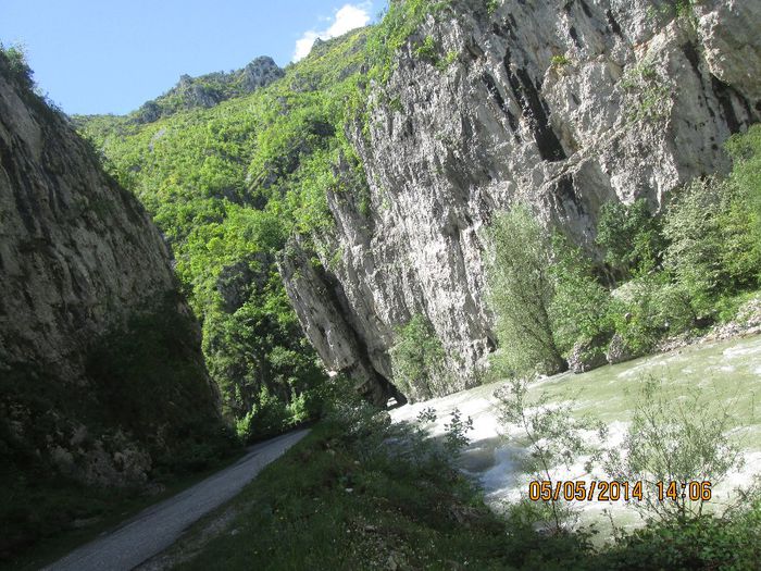 IMG_4645 - Cheile Sohodolului in mai