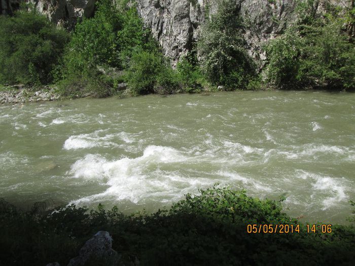 IMG_4647 - Cheile Sohodolului in mai